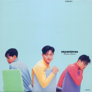 工作代理小狼导航
